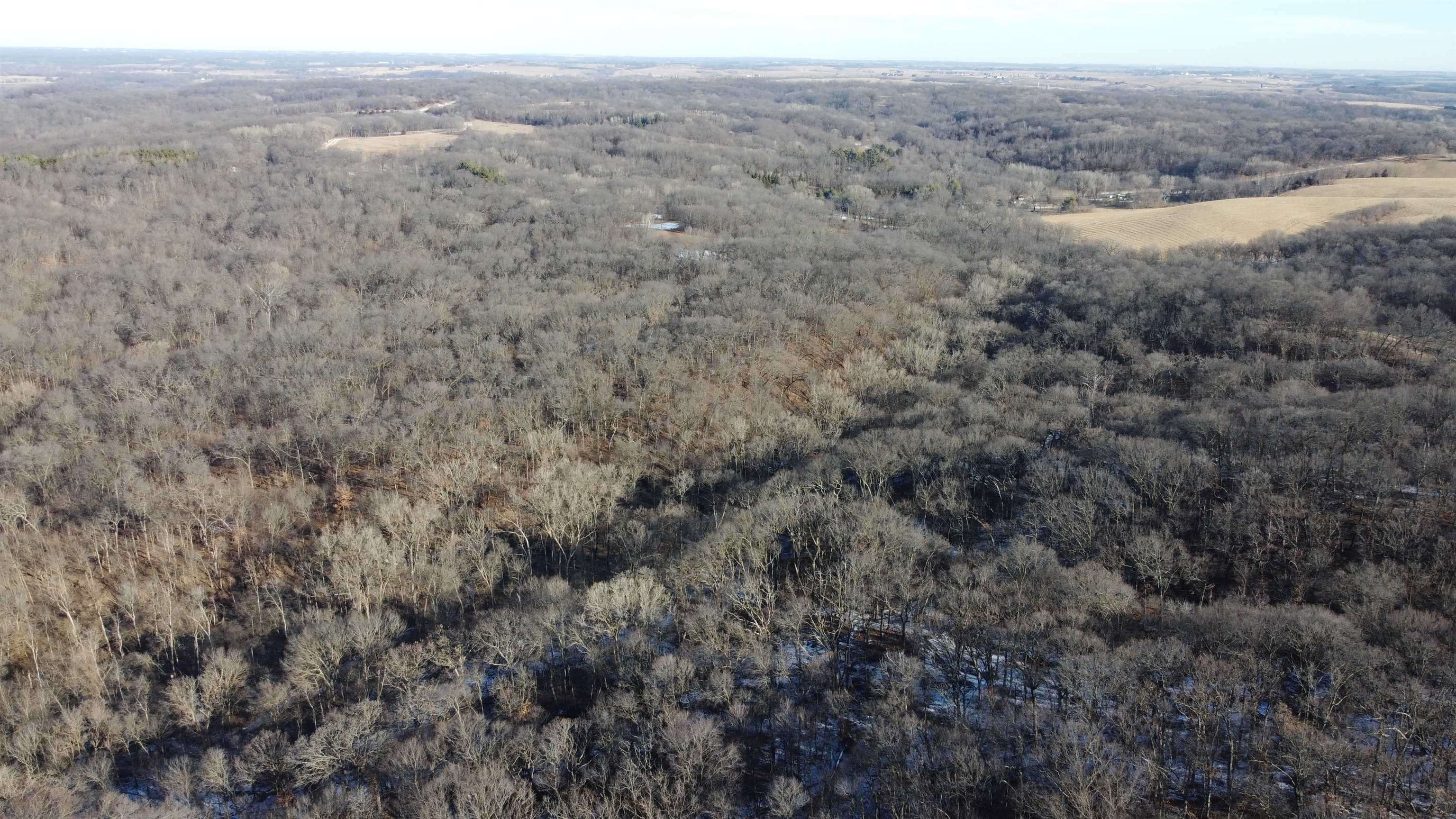 Three Mile Road Savanna, IL 61074 - Photo 50 of 57 a view of a dry yard