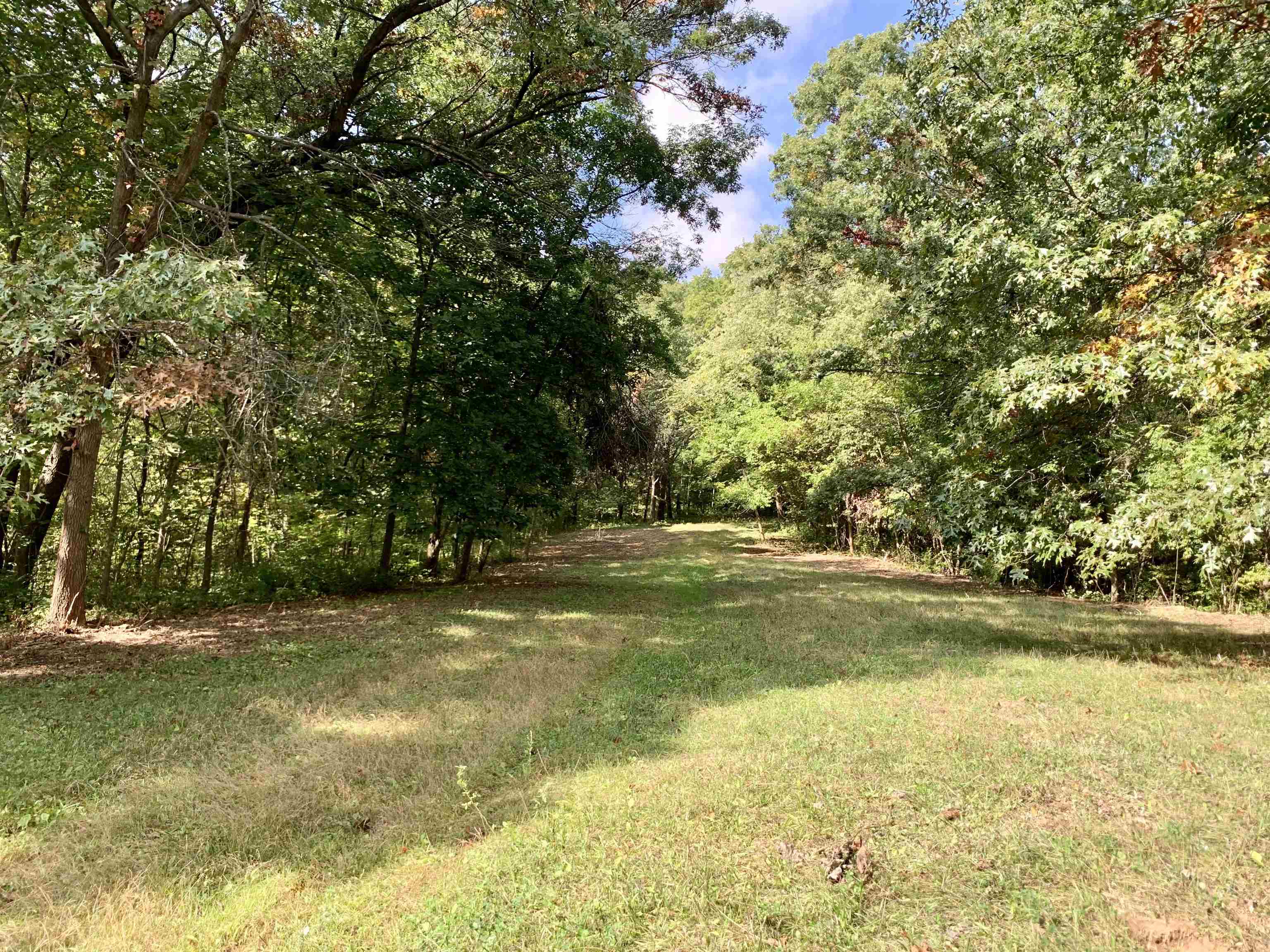 Three Mile Road Savanna, IL 61074 - Photo 9 of 57 a view of a yard with a trees