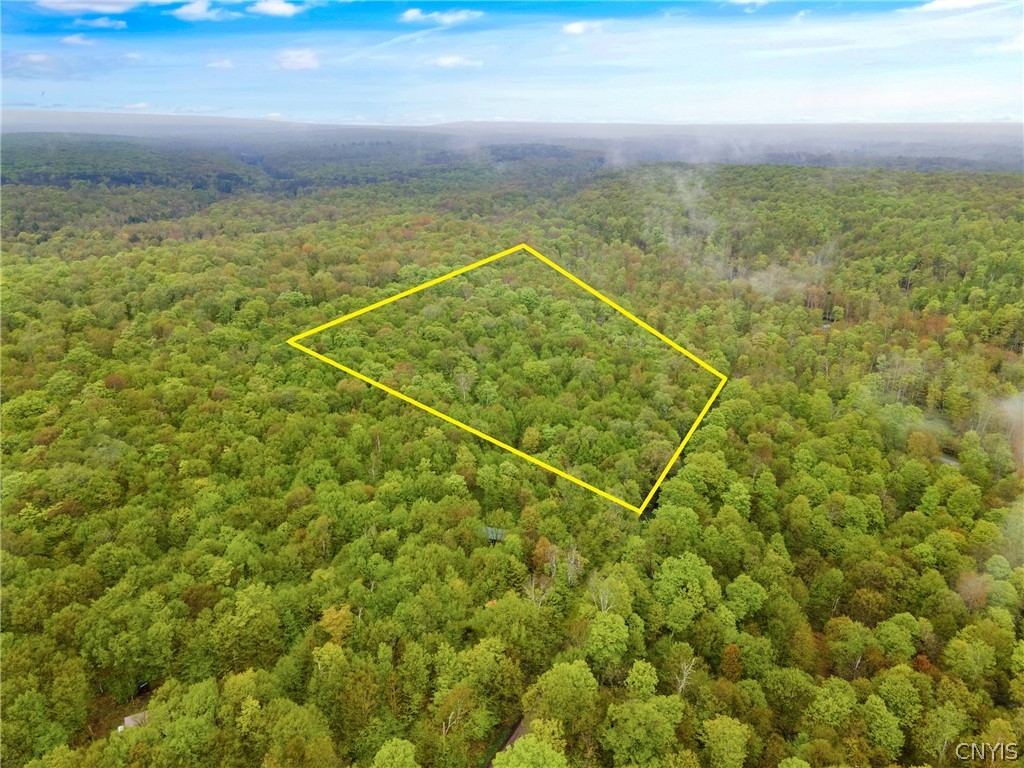 Lot 11 Potter Road Carthage, NY 13619 - Photo 2 of 3 Gallery Image 2
