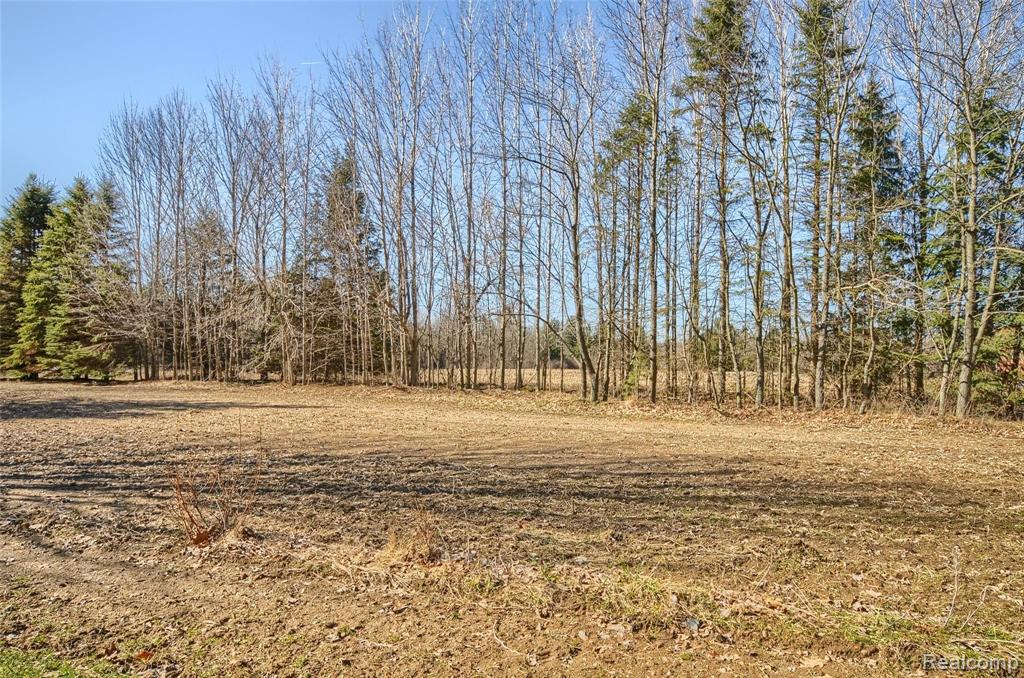 3679 Daley Road Attica, MI 48412 - Photo 45 of 74