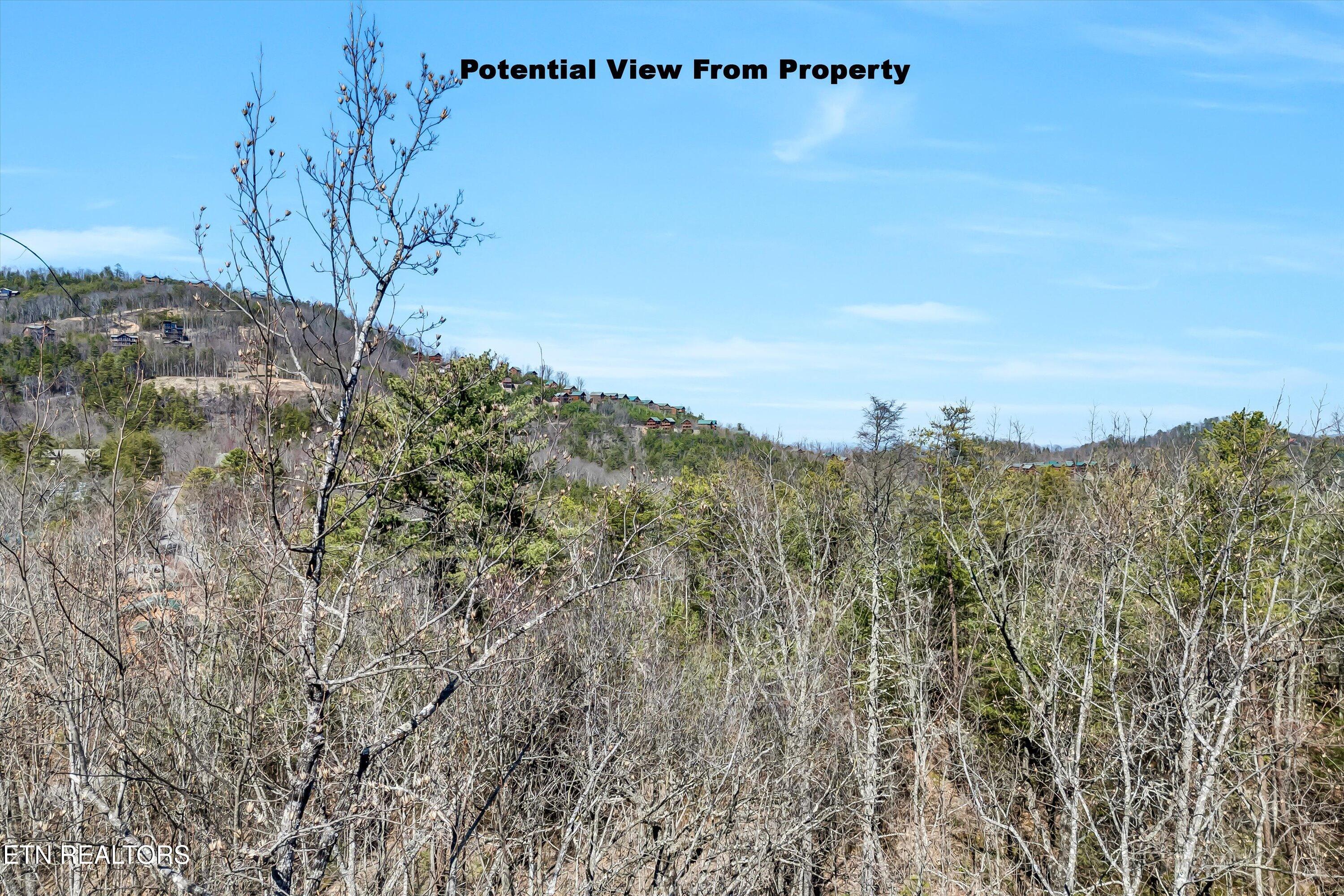 Lot 43 Harvest Moon Road Sevierville, TN 37862 - Photo 3 of 33 43-Harvest Moon Rd-43