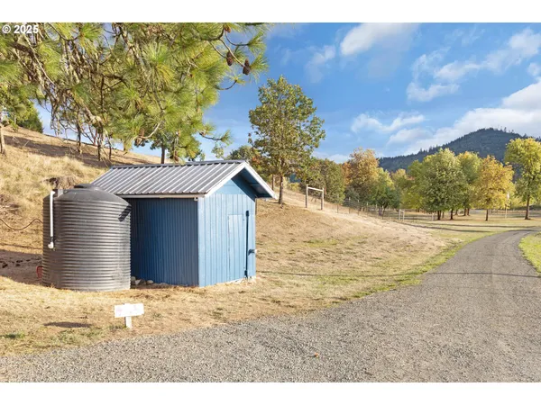 a view of a yard
