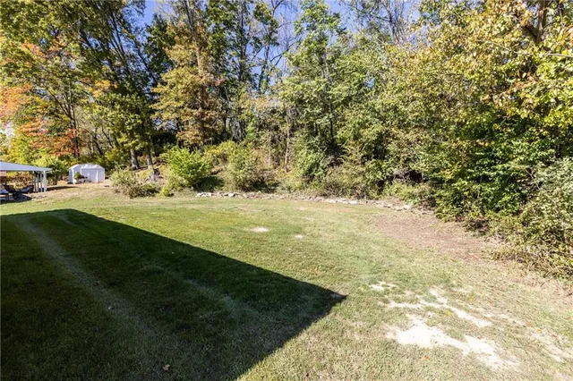 a view of yard with green space and trees all around