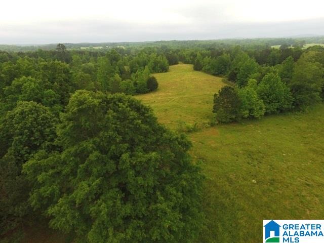 45-acres Driggers Road, Unit 45 AC Lineville, AL 36266 - Photo 5 of 10