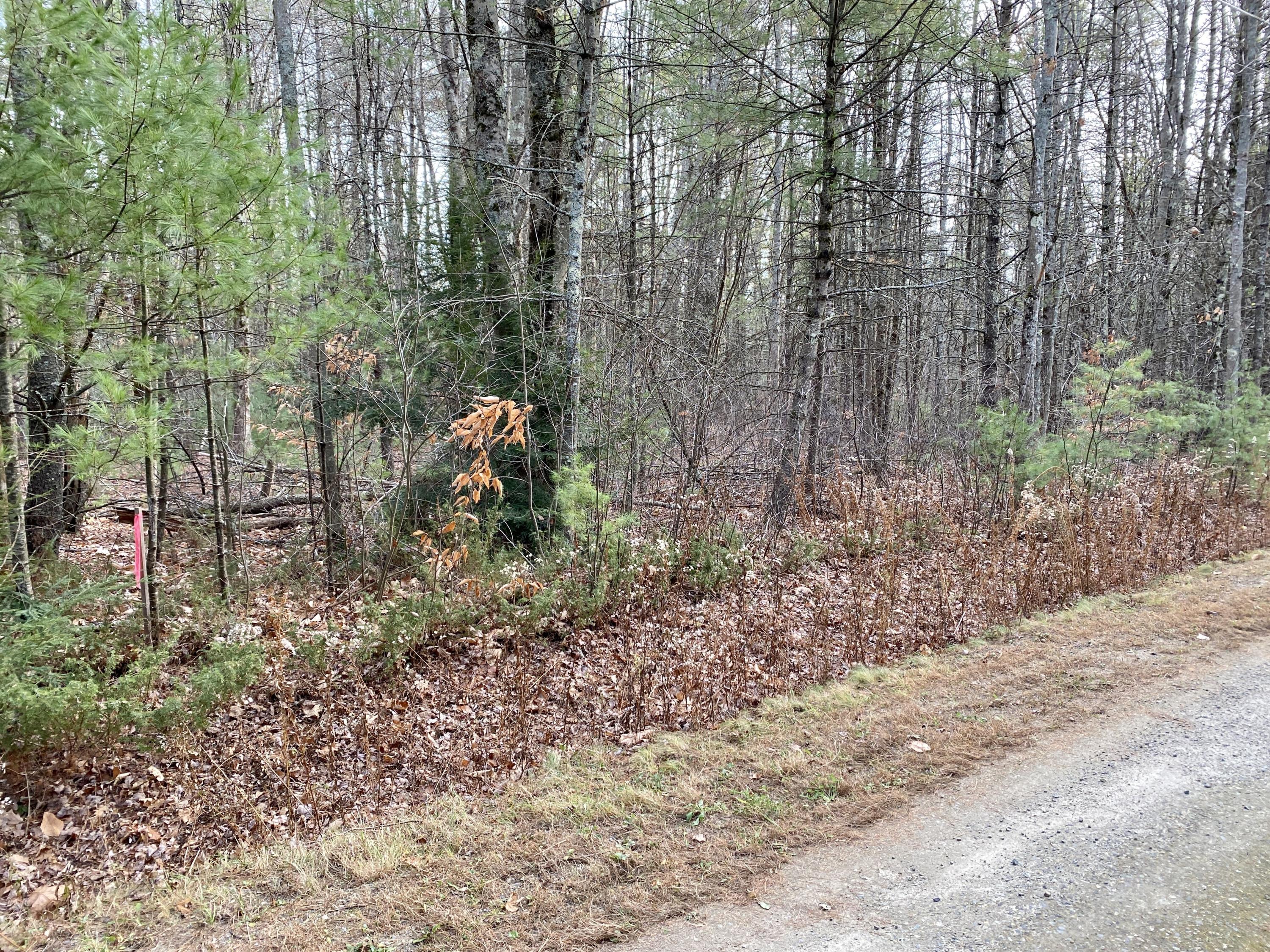0 McKenney Road Saco, ME 04072 - Photo 4 of 8 IMG_3979
