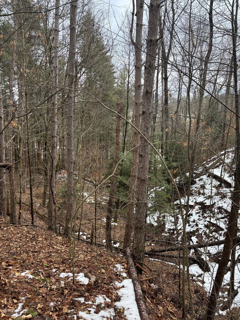 0 Gibson Road Emlenton, PA 16373 - Photo 14 of 34