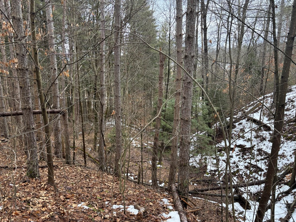 0 Gibson Road Emlenton, PA 16373 - Photo 15 of 34