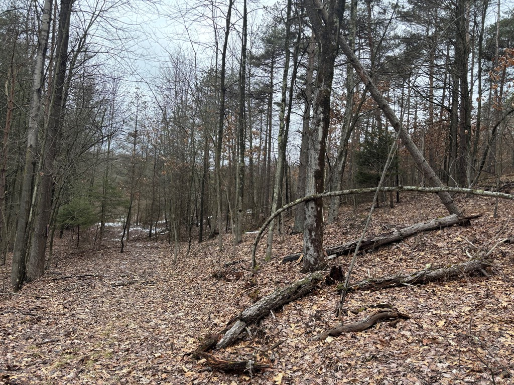0 Gibson Road Emlenton, PA 16373 - Photo 20 of 34