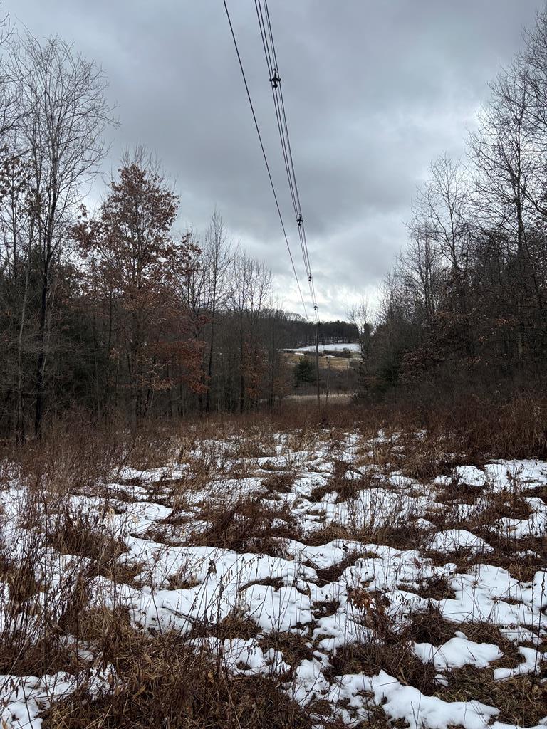 0 Gibson Road Emlenton, PA 16373 - Photo 2 of 34