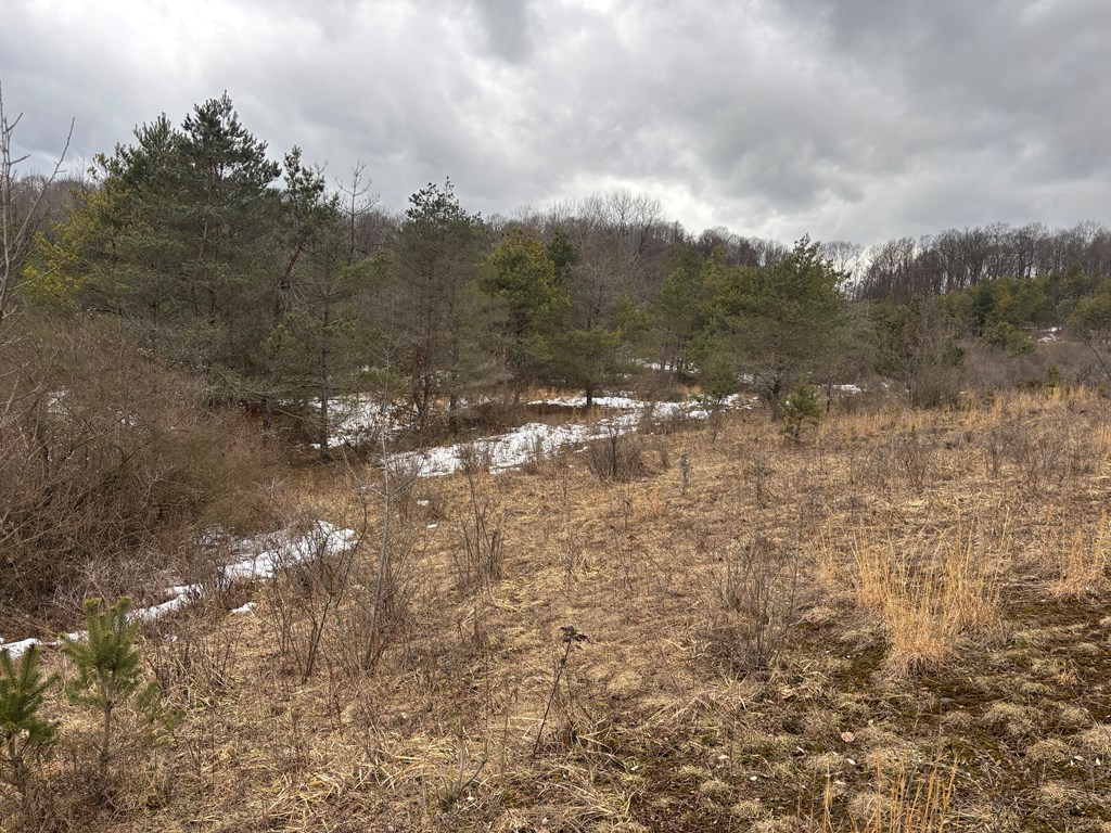0 Gibson Road Emlenton, PA 16373 - Photo 22 of 34