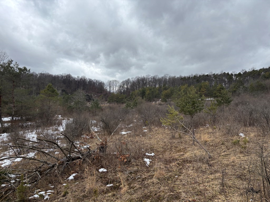 0 Gibson Road Emlenton, PA 16373 - Photo 23 of 34