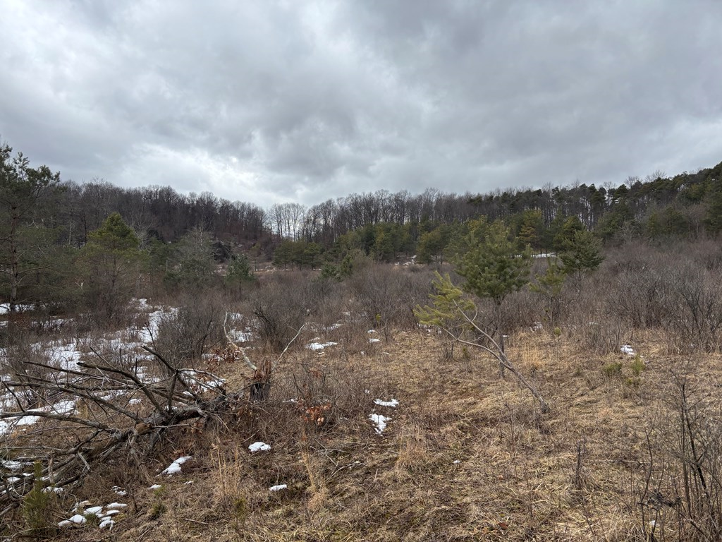 0 Gibson Road Emlenton, PA 16373 - Photo 24 of 34