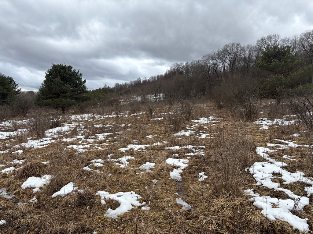 0 Gibson Road Emlenton, PA 16373 - Photo 25 of 34