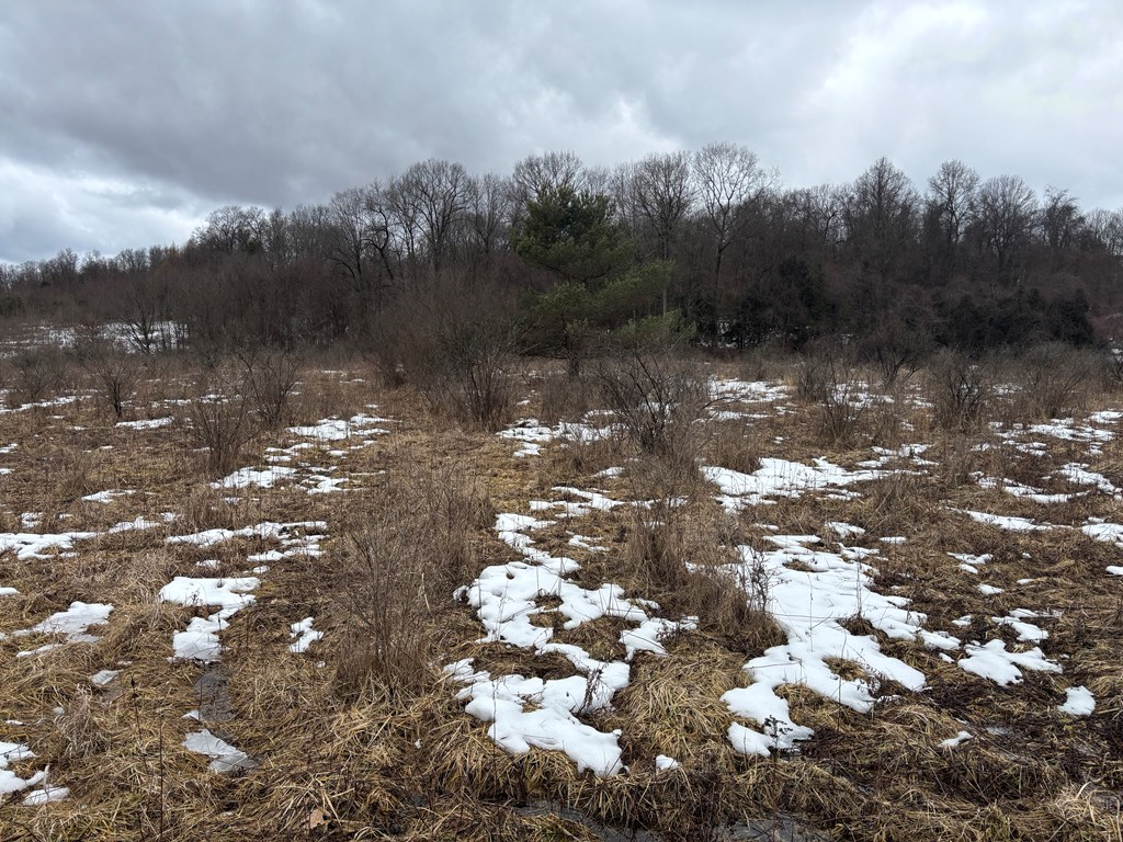 0 Gibson Road Emlenton, PA 16373 - Photo 26 of 34