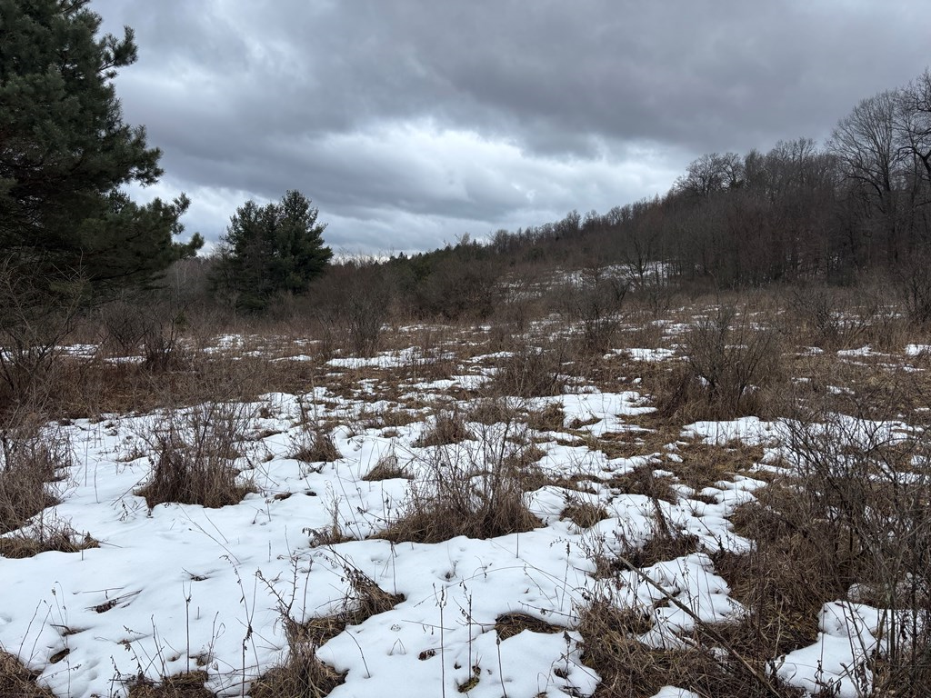 0 Gibson Road Emlenton, PA 16373 - Photo 27 of 34