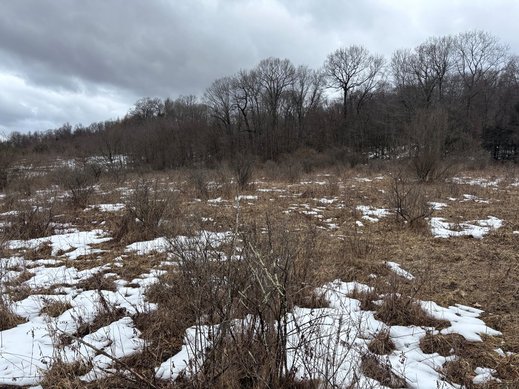 0 Gibson Road Emlenton, PA 16373 - Photo 28 of 34