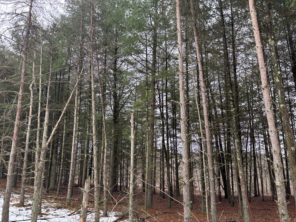 0 Gibson Road Emlenton, PA 16373 - Photo 29 of 34