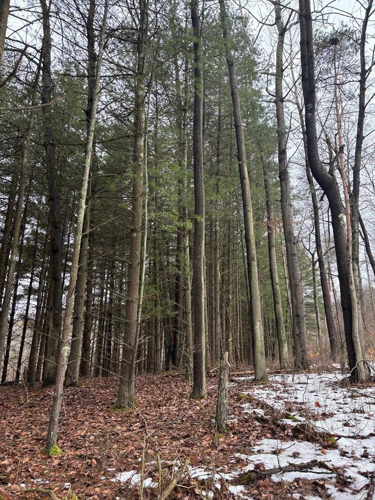 0 Gibson Road Emlenton, PA 16373 - Photo 31 of 34