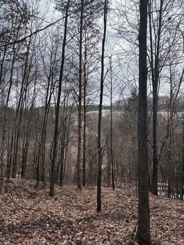 0 Gibson Road Emlenton, PA 16373 - Photo 6 of 34