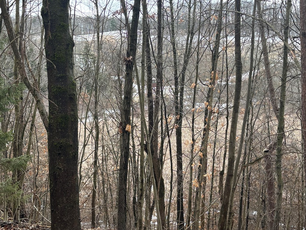 0 Gibson Road Emlenton, PA 16373 - Photo 7 of 34