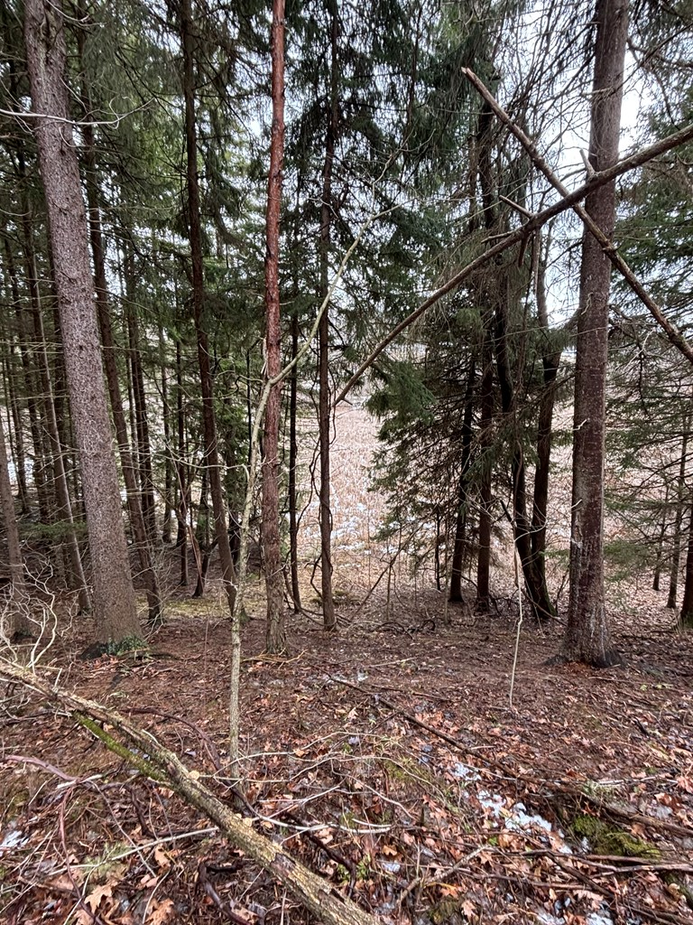 0 Gibson Road Emlenton, PA 16373 - Photo 9 of 34