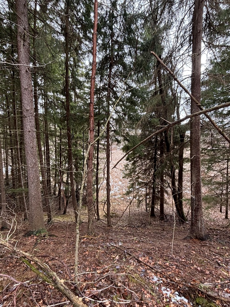 0 Gibson Road Emlenton, PA 16373 - Photo 10 of 34