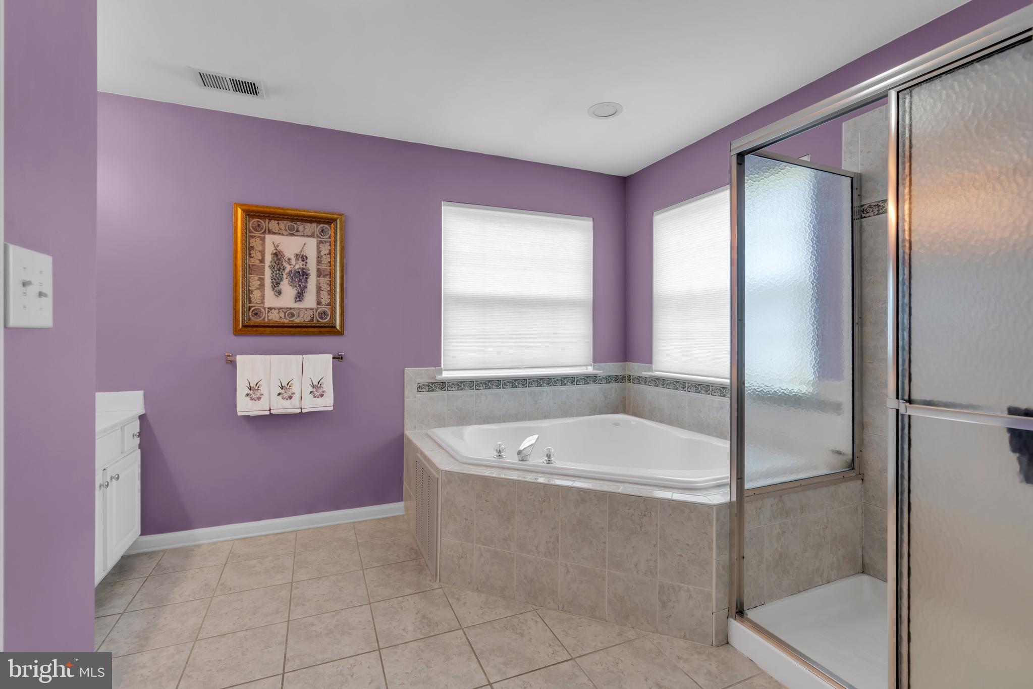 3 Pheasant Court, Unit 2710 Columbus, NJ 08022 - Photo 24 of 39 a spacious bathroom with a bathtub and a shower