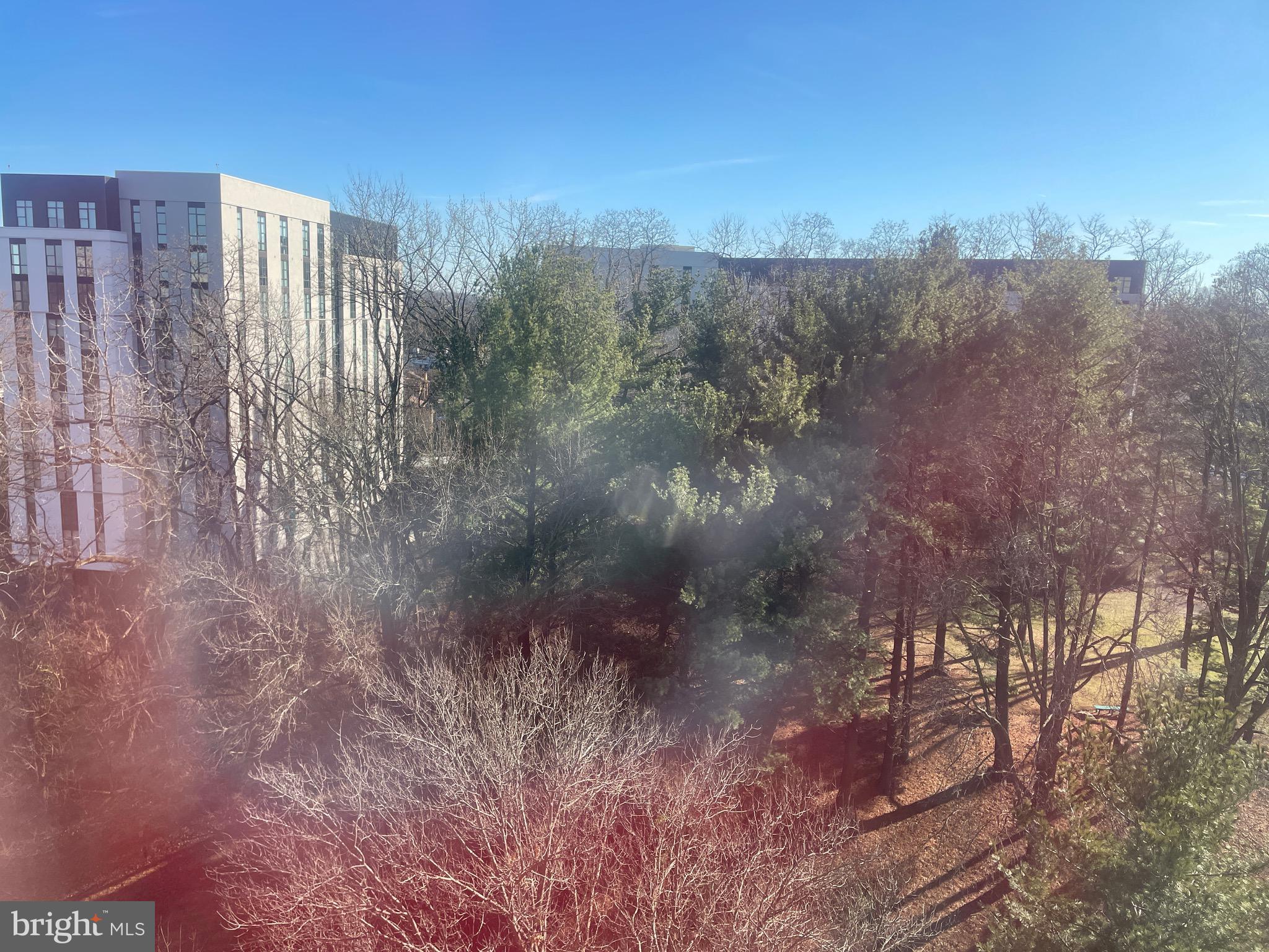 5225 Pooks Hill Road, Unit 828S Bethesda, MD 20814 - Photo 14 of 63 a view of a yard next to a road