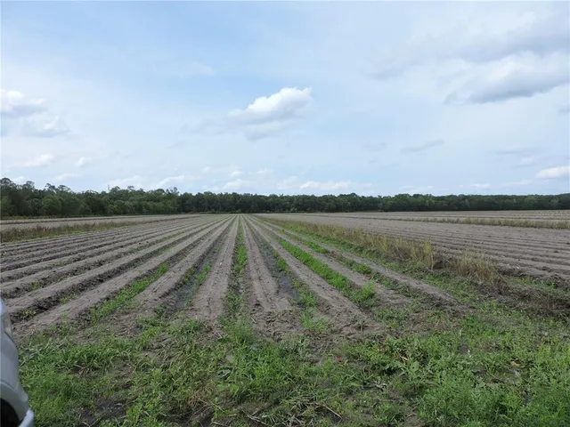 a view of a lake with houses in the background