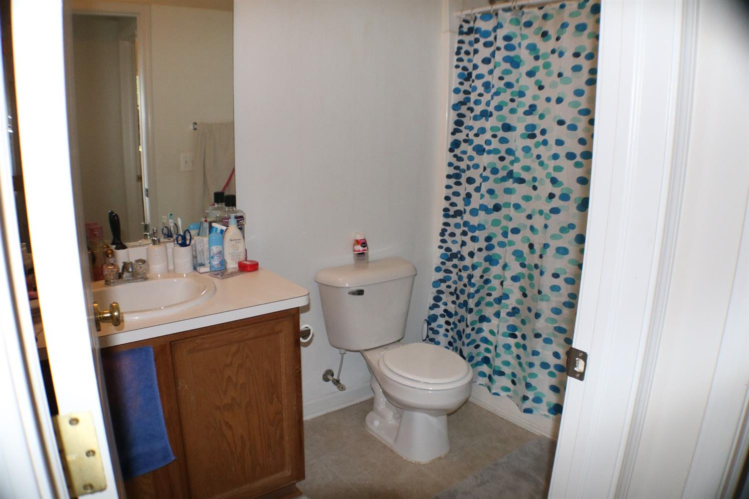 1432 Truman Loop Milan, MI 48160 - Photo 24 of 34 Photo 24