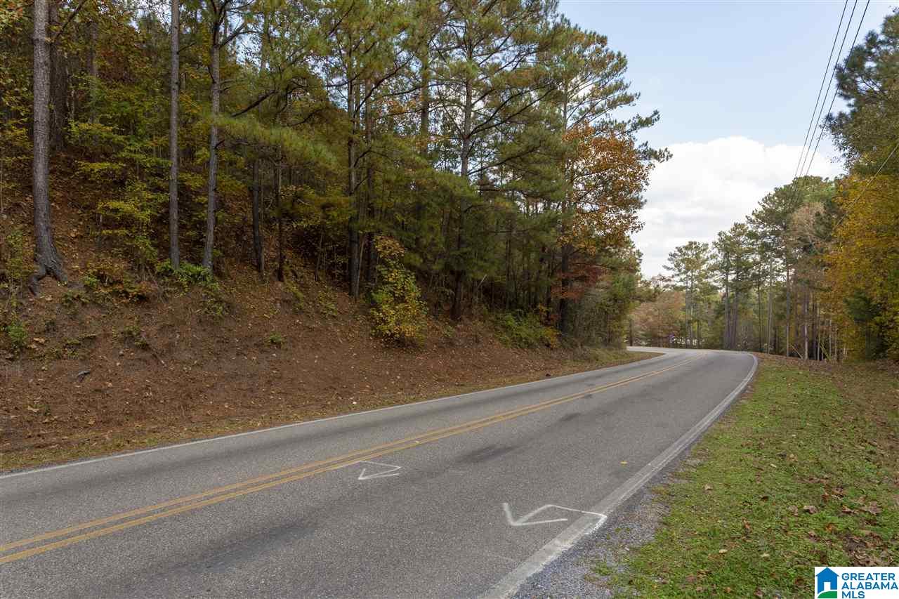0 County Road 306 Calera, AL 35040 - Photo 7 of 9
