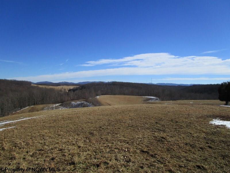 813 Mount Liberty Road Philippi, WV 26416 - Photo 3 of 17 Gallery Image 3