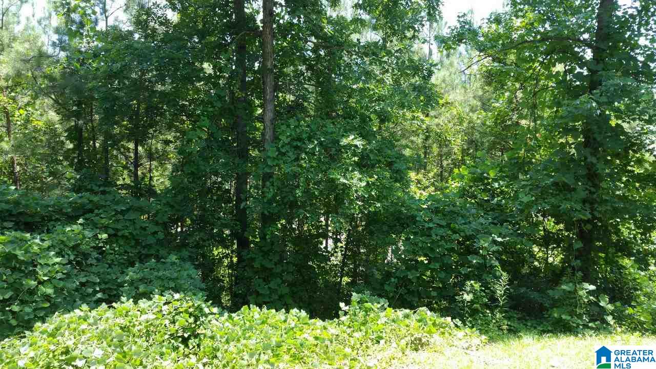 0 Canaan Road, Unit 1 Fayette, AL 35555 - Photo 3 of 3
