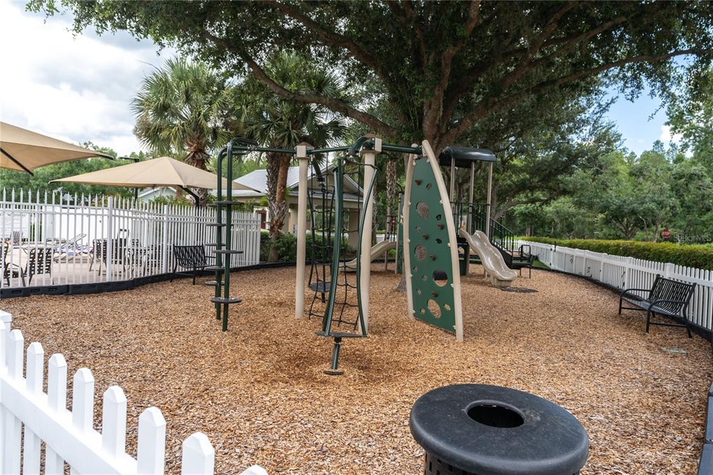 10121 Porch Street New Port Richey, FL 34655 - Photo 57 of 57 a view of outdoor space