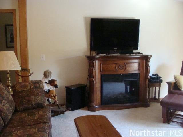 7354 Upper Roy Lake Road Lake Shore, MN 56468 - Photo 4 of 18 Gallery Image 4