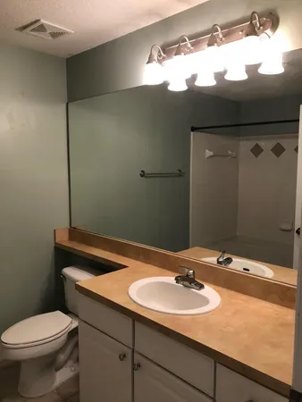 a bathroom with a sink and a toilet