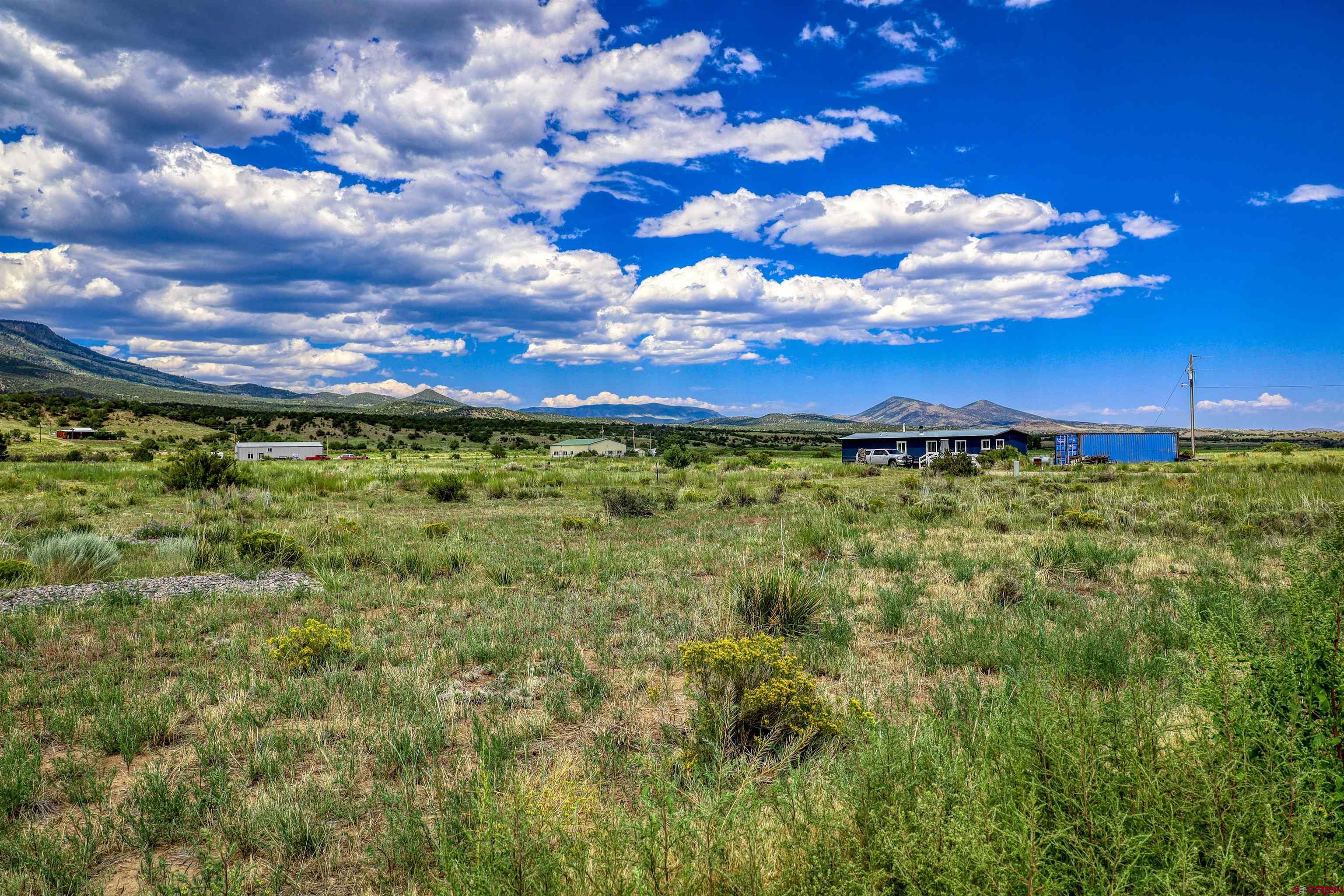 227 Red Feather Road South Fork, CO 81154 - Photo 1 of 32 a view of a big yard with lots of green space