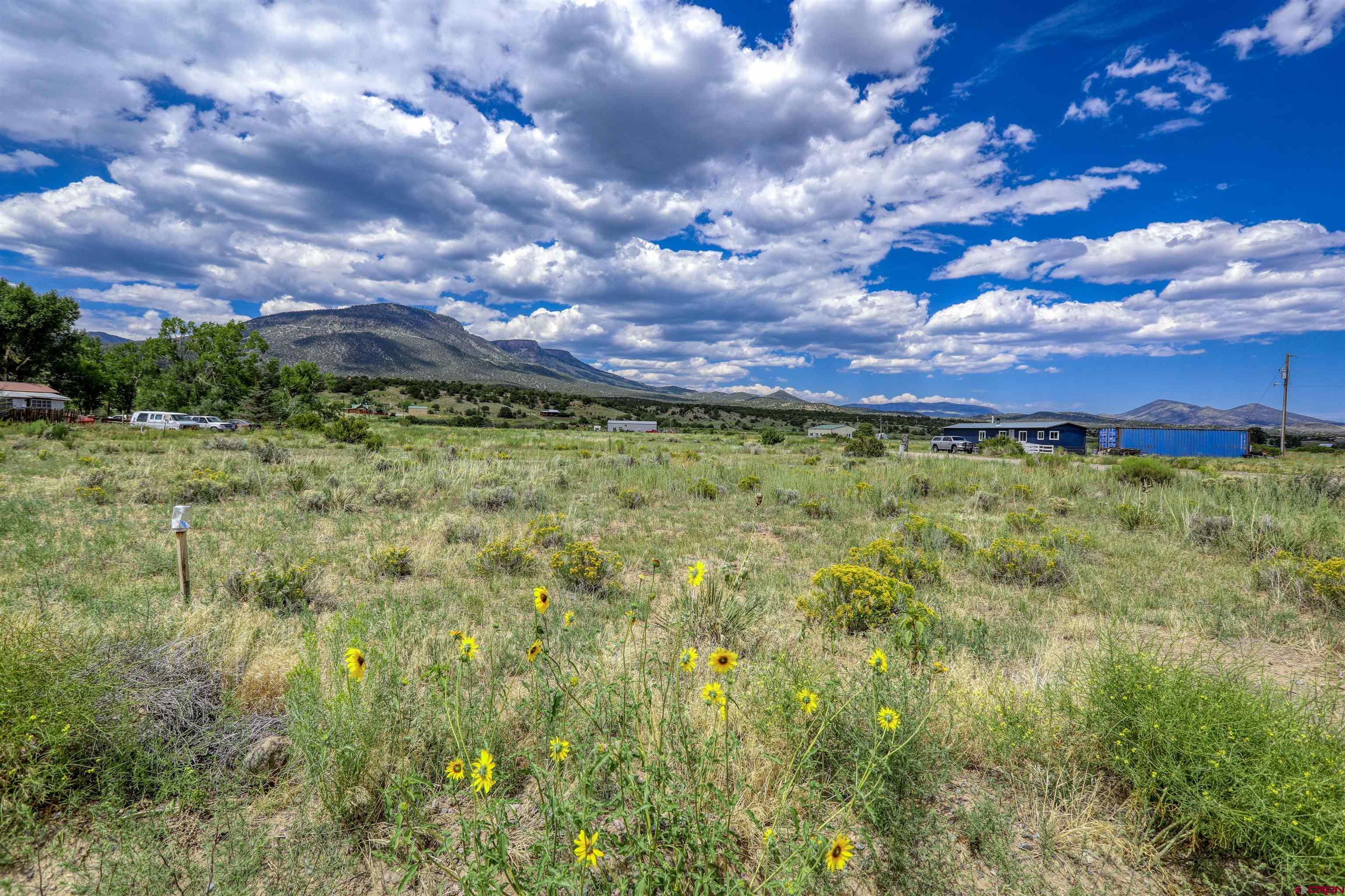 227 Red Feather Road South Fork, CO 81154 - Photo 11 of 32 a view of a houses with a big yard