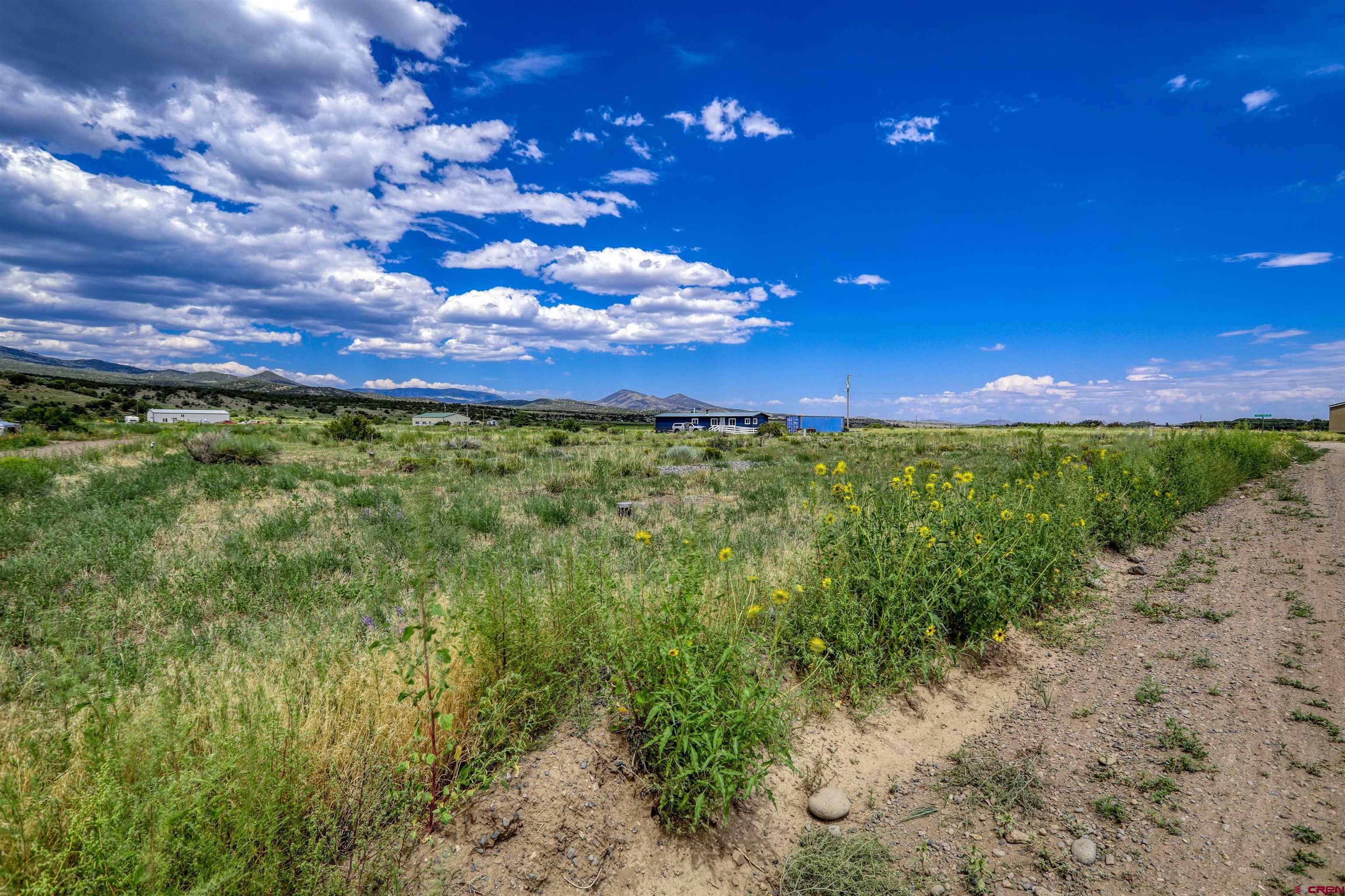 227 Red Feather Road South Fork, CO 81154 - Photo 12 of 32 a view of a yard with an tree