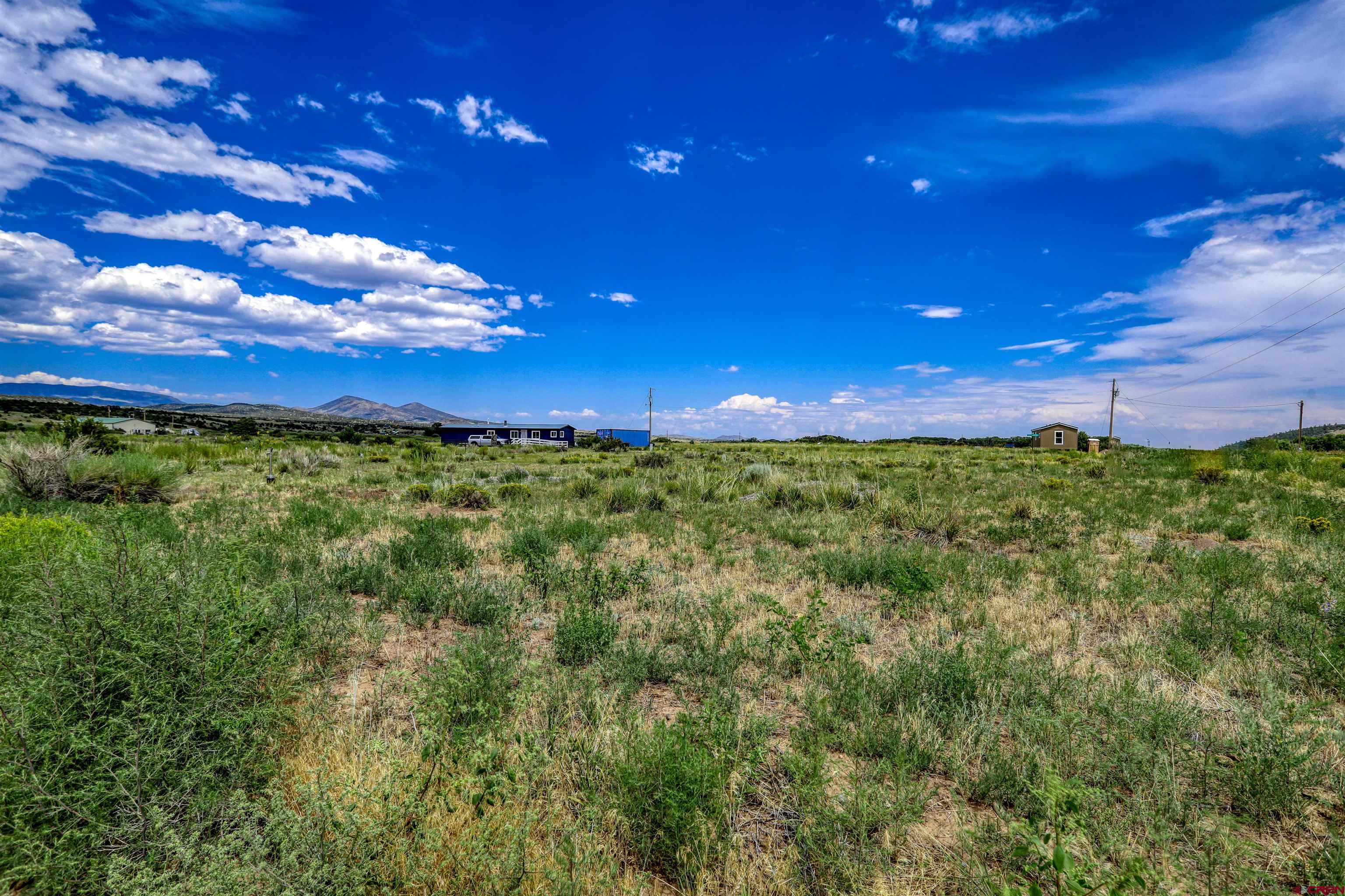 227 Red Feather Road South Fork, CO 81154 - Photo 13 of 32 a view of a green yard