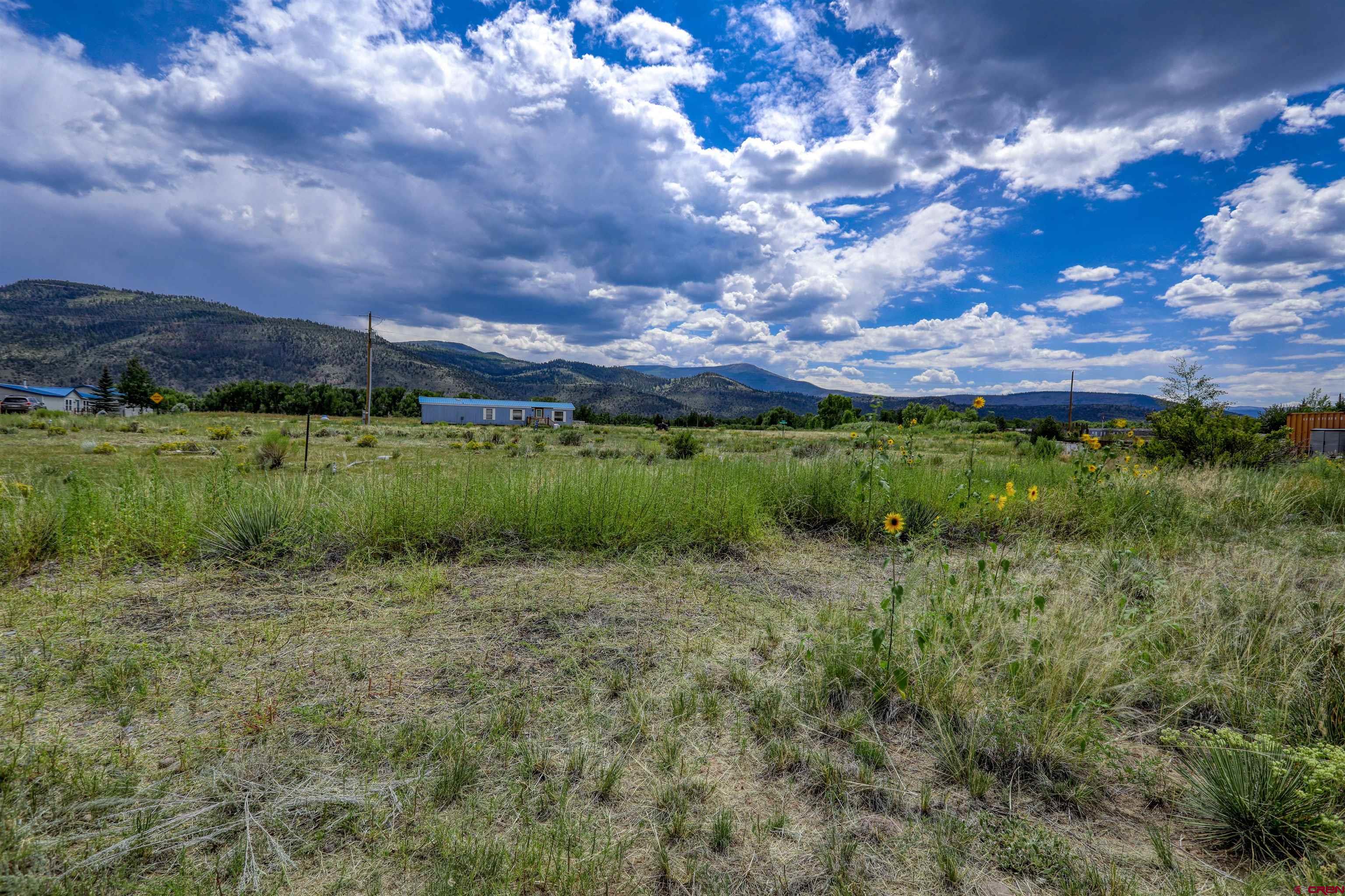 227 Red Feather Road South Fork, CO 81154 - Photo 15 of 32 a view of a lush green space