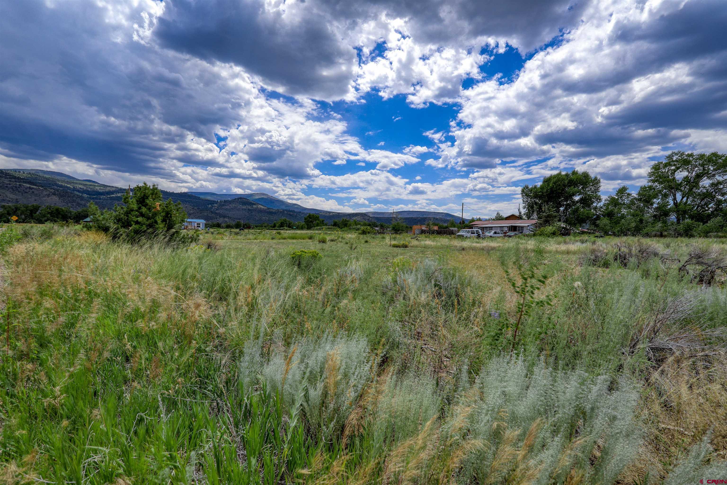 227 Red Feather Road South Fork, CO 81154 - Photo 16 of 32 a view of a golf course with a tree
