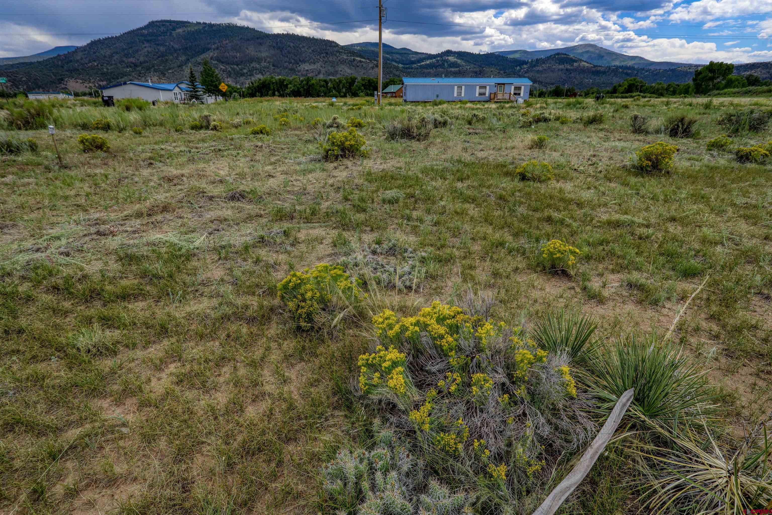 227 Red Feather Road South Fork, CO 81154 - Photo 20 of 32 a view of a lush green outdoor space with a sink