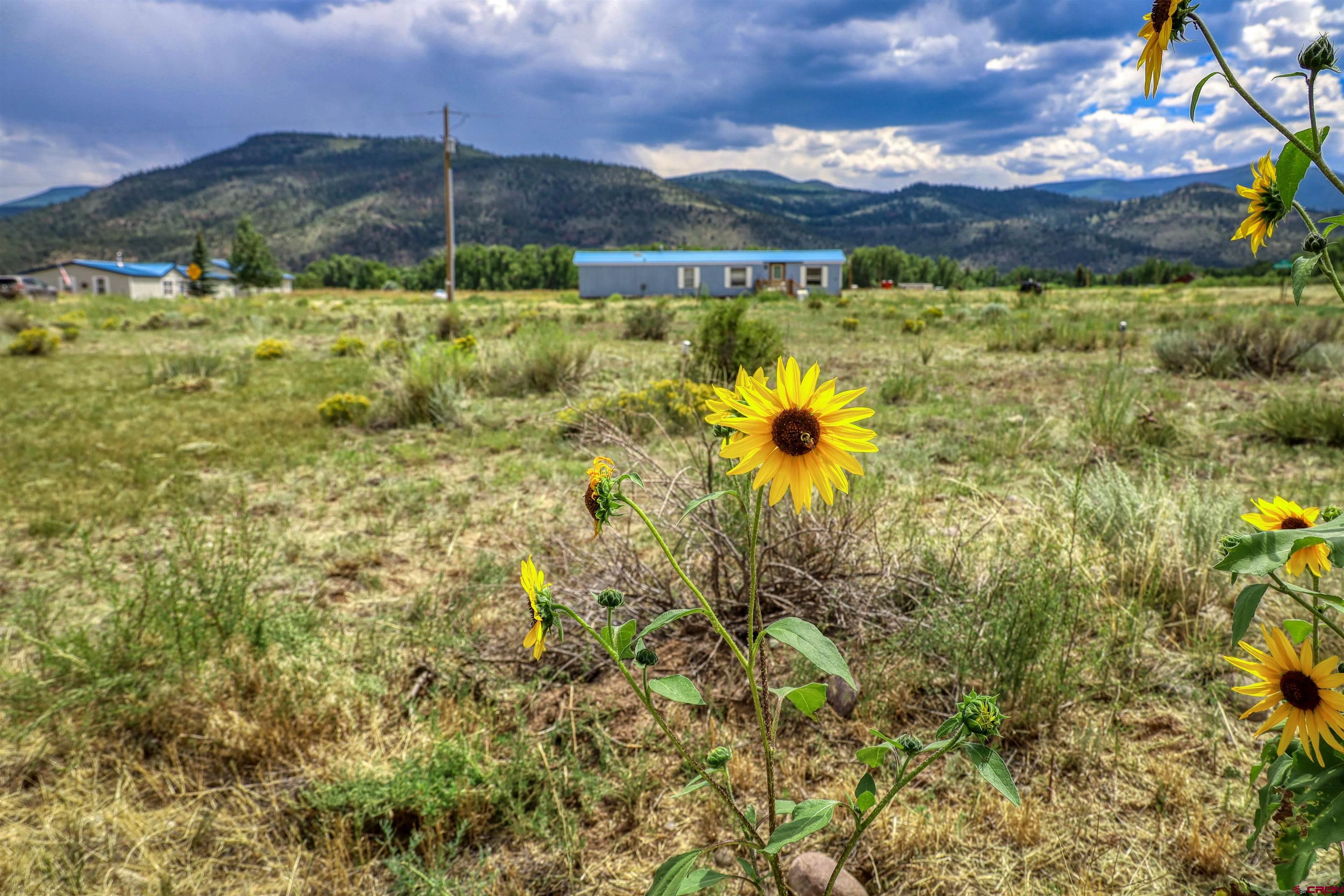 227 Red Feather Road South Fork, CO 81154 - Photo 2 of 32 a view of a lake view