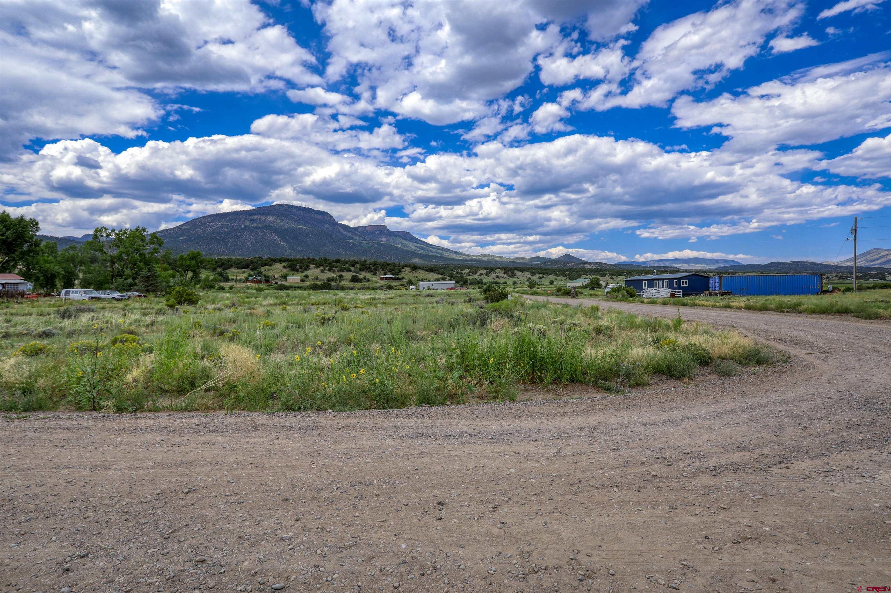 227 Red Feather Road South Fork, CO 81154 - Photo 21 of 32 a view of a garden with an ocean