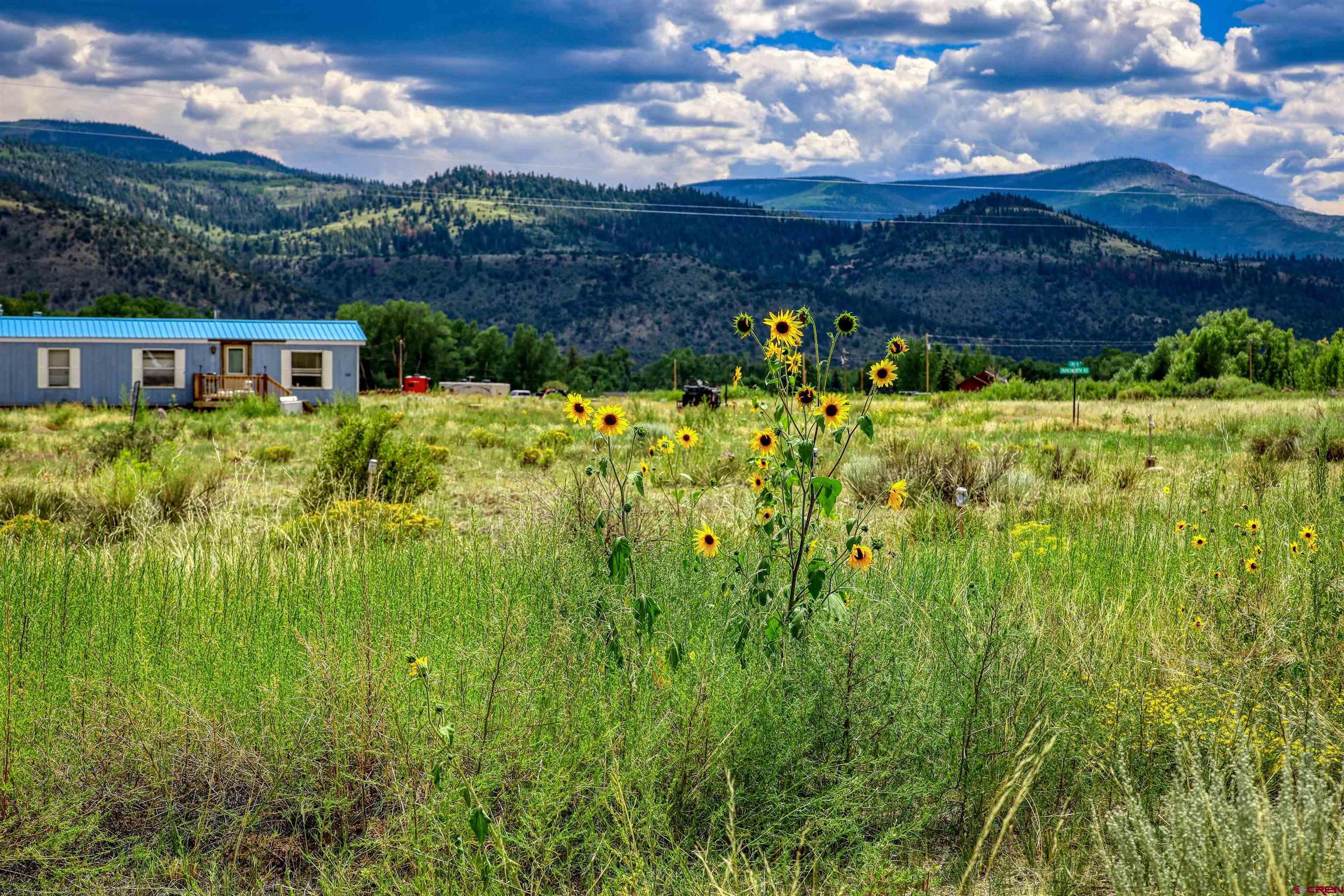 227 Red Feather Road South Fork, CO 81154 - Photo 26 of 32 a view of a garden with a house in the background