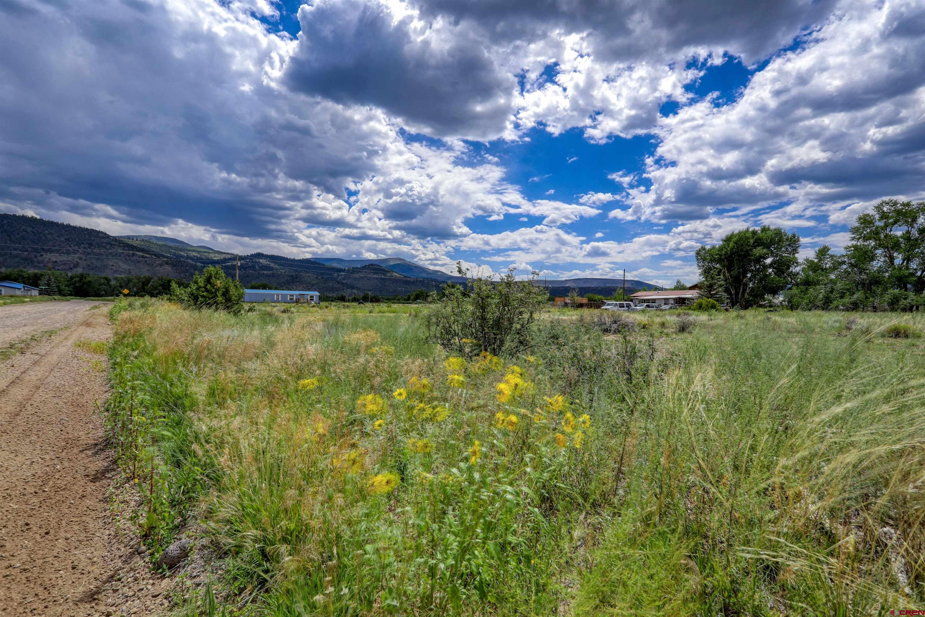 227 Red Feather Road South Fork, CO 81154 - Photo 29 of 32 a view of a garden with a lake