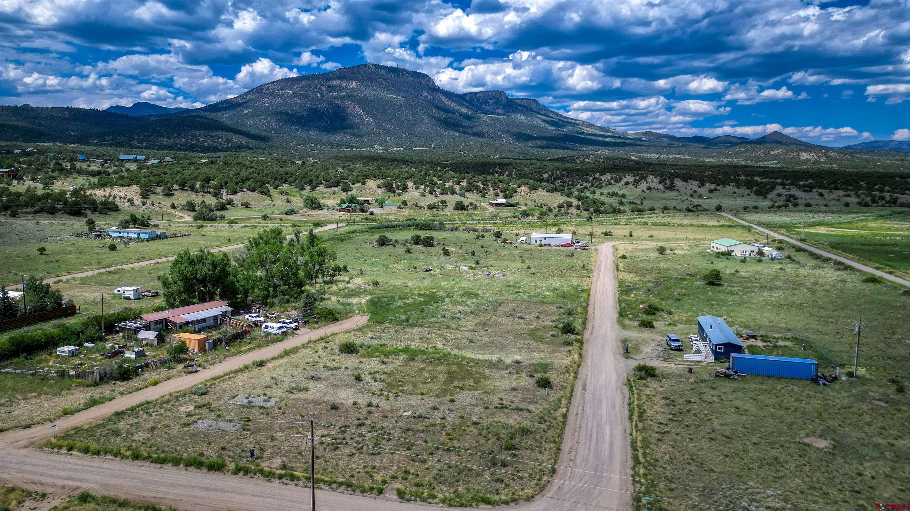 227 Red Feather Road South Fork, CO 81154 - Photo 3 of 32 a view of a yard with a tree