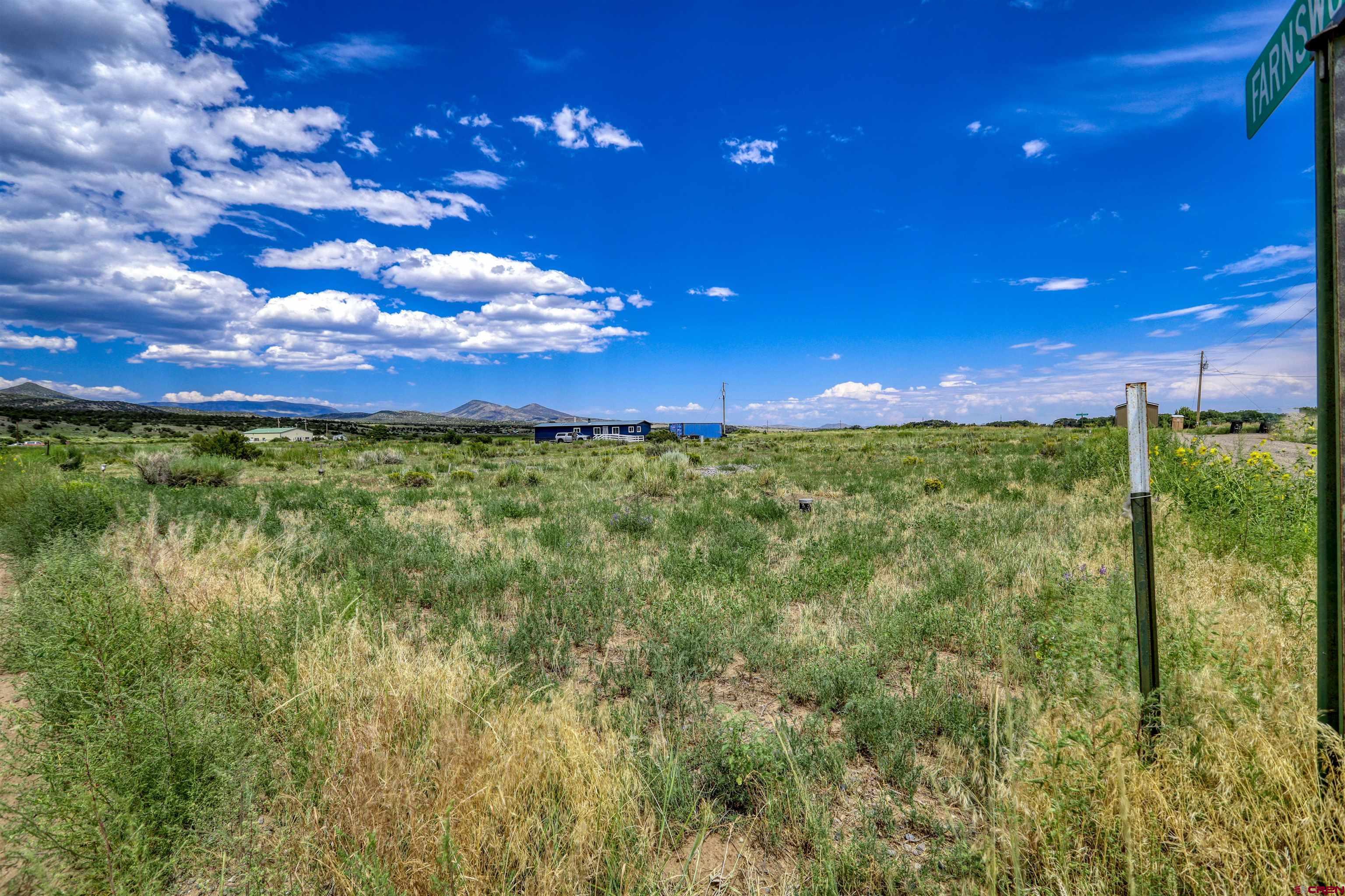 227 Red Feather Road South Fork, CO 81154 - Photo 32 of 32 a view of a yard with an tree