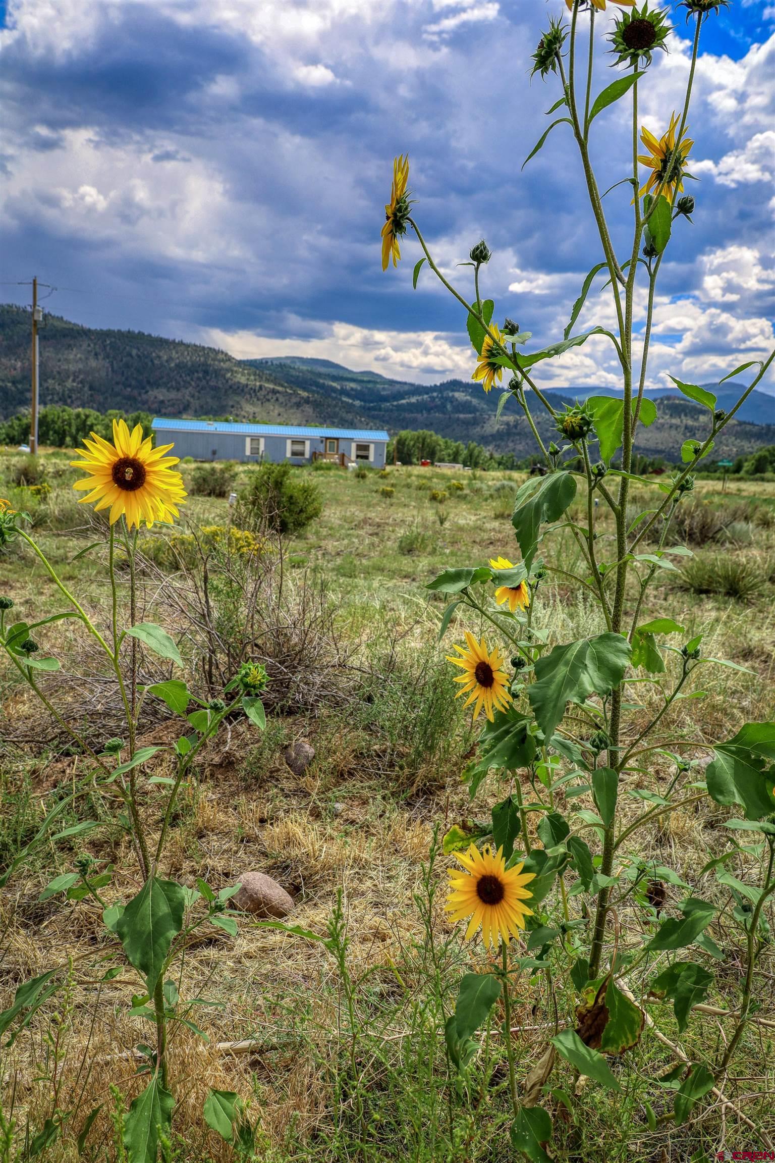 227 Red Feather Road South Fork, CO 81154 - Photo 8 of 32 a view of a lake with a house in the background